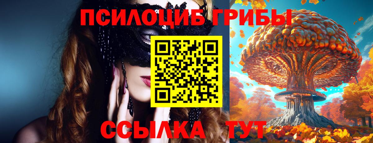Псилоцибиновые грибы прущие грибы Менделеевск