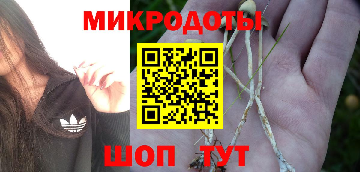 Галлюциногенные грибы мухоморы  Вход с VPN  Менделеевск  Галлюциногенные грибы Cubensis 
